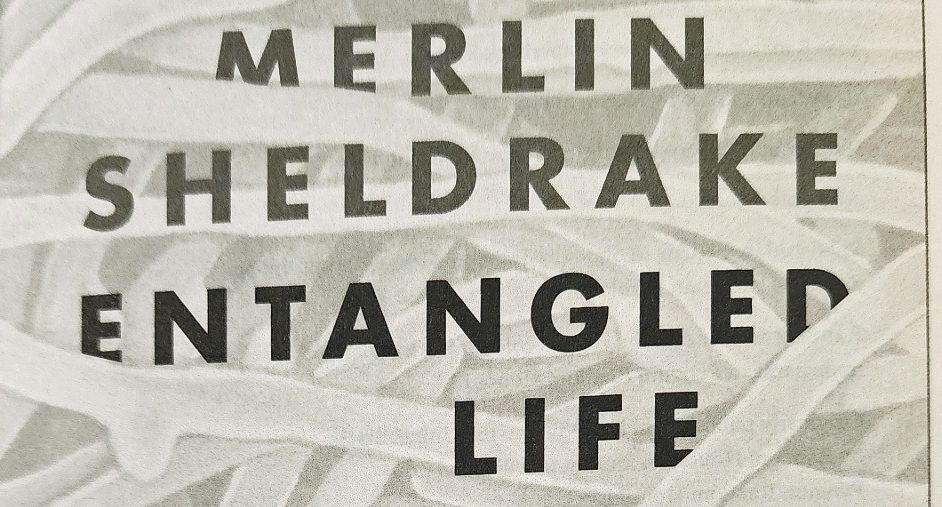“Entangled Life” by Merlin&nbsp;Sheldrake