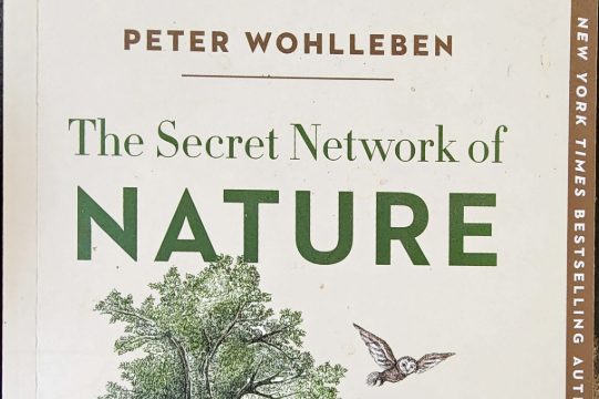 “The Secret Network of&nbsp;Nature: